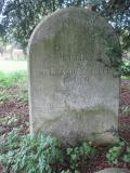 image of grave number 316456